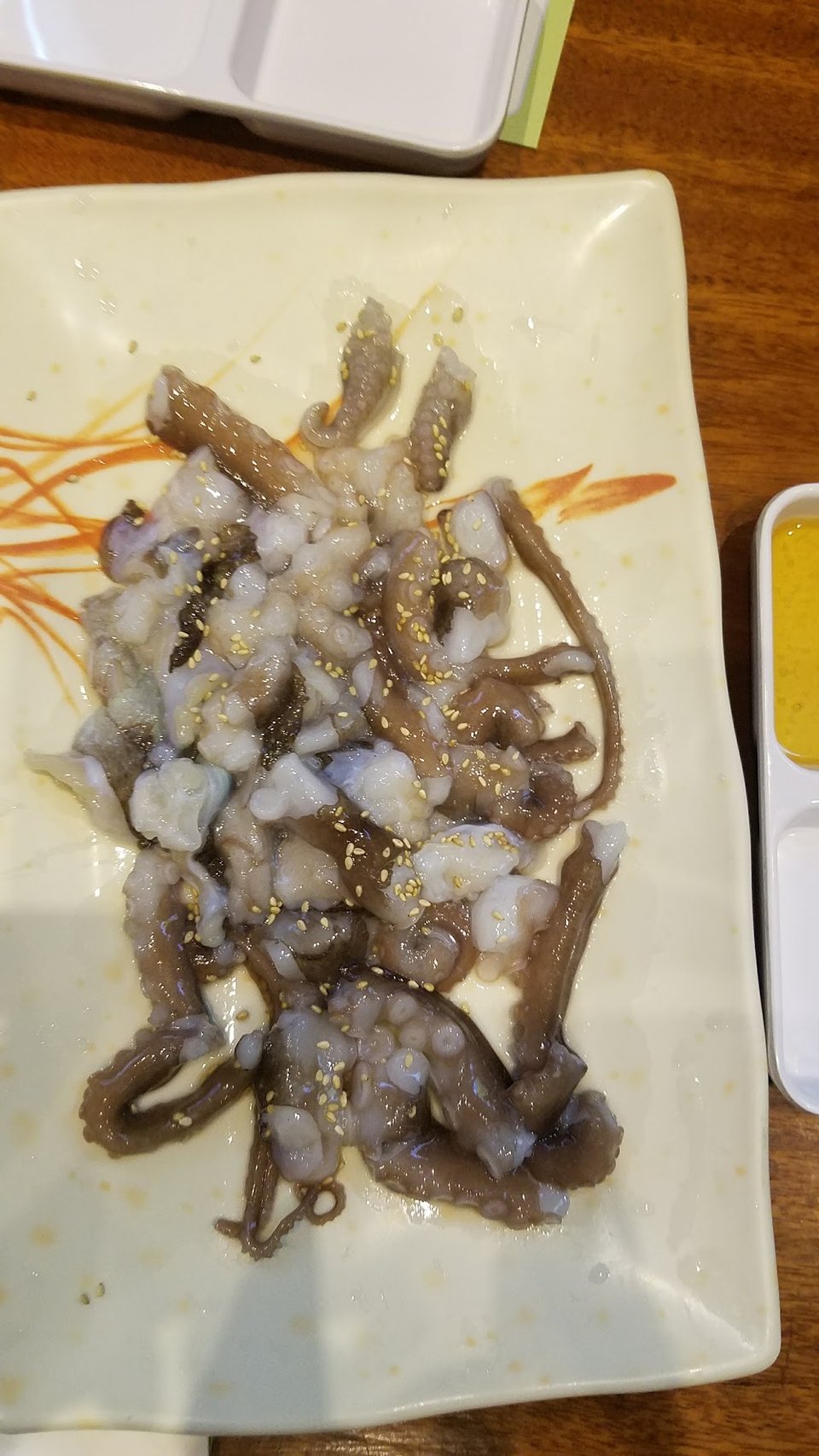 Live Octopus